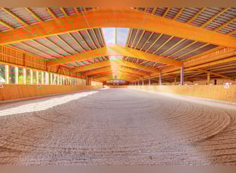 Exklusives Reitsportanwesen nahe Hamburg - 43 Hektar & neue Reithalle!