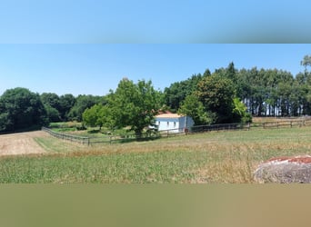 Fattoria con casa e maneggio privato