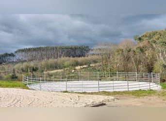 Fattoria con casa e maneggio privato