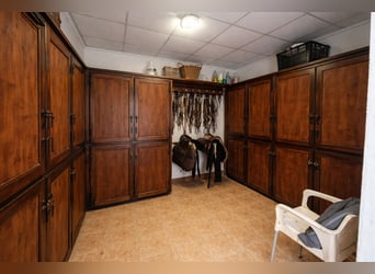 Fattoria equestre a La Marina, Alicante, prossima a (MET)