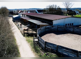Fattoria equestre con grande casa residenziale e potenziale di sviluppo