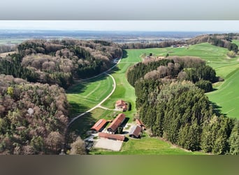 Fattoria equestre unica nel suo genere in posizione panoramica e isolata, circa 4 ettari di terreno 