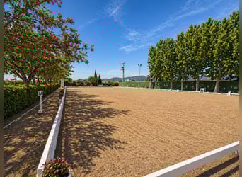 Fattoria equestre vicino al mare