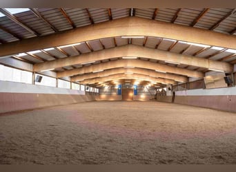 Grande centro equestre vicino a Kiel, situato in una posizione eccellente, con diverse abitazioni e 
