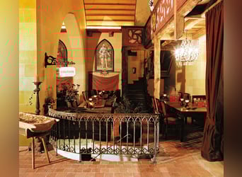 Historisches Großanwesen mit Park, eigenem See für Natur- und Tierliebhaber!