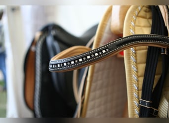 Hochwertige Reitsportanlage in Rheinhessen – Großer Sport! V14310