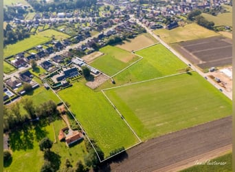 Hoogwaardig afgewerkte villa met stalgebouw en aanpalende weides op ca. 1,7 ha te Herenthout