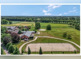 Idyllische paardenboerderij Kootwijkerbroek Veluwe te koop