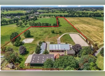 Idyllische paardenboerderij Kootwijkerbroek Veluwe te koop