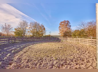 Immobiliare commerciale a Herrenberg – Clinica veterinaria per cavalli di nuova costruzione con dive