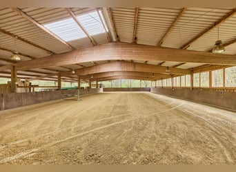 Immobiliare equina in Saarland in vendita – Maneggio in un paesaggio pittoresco con una moderna scud