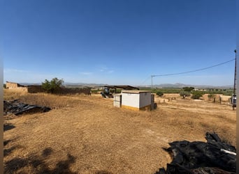 Impianto equestre con progetto di residenza