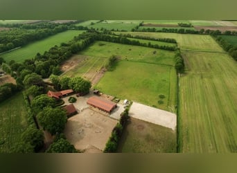 Impianto equestre in posizione idilliaca nell'Ammerland