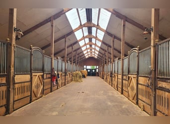 Impianto equestre per allevamento, sport e riabilitazione