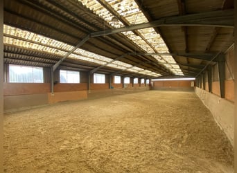 Impianto equestre polivalente con ampio bifamiliare a Hude (distretto di Oldenburg)