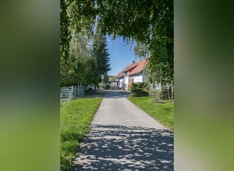Impresa equestre situata a sud