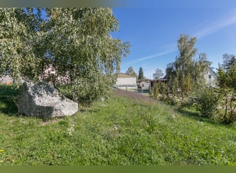 Impresa equestre situata a sud