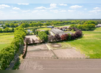 Kapelstraat 12 - 14 Leende Beautiful, complete equestrian accommodation 