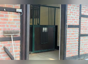 Landhaus mit Pferdestall & zusätzliche Optionen  -  Kreis Kleve NRW