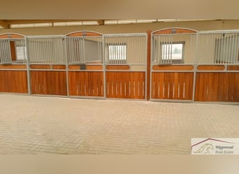 **Luxuriöses Pferdeanwesen in bester Lage** - Schweiz