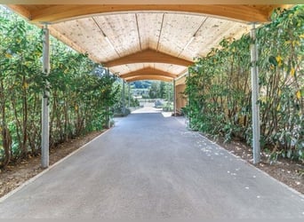 **Luxuriöses Pferdeanwesen in bester Lage** - Schweiz