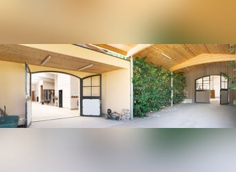 **Luxuriöses Pferdeanwesen in bester Lage** - Schweiz