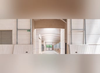 **Luxuriöses Pferdeanwesen in bester Lage** - Schweiz