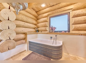 Moderne Reitanlage zu verkaufen in Hütschenhausen – stilvolles & energieeffizientes Wohnen inklusive