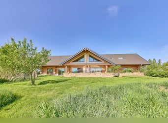 Moderne Reitanlage zu verkaufen in Hütschenhausen – stilvolles & energieeffizientes Wohnen inklusive