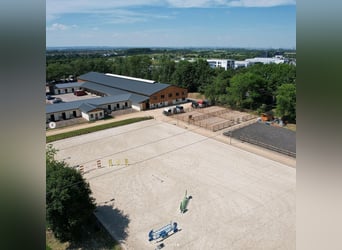 Moderne und rentable Reitanlage im Einzugsgebiet Bonn/Köln mit hochwertigem Wohnhaus