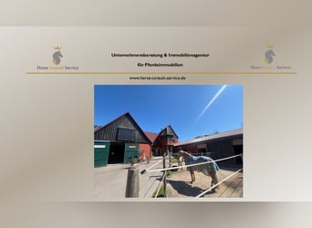 Paradiso equestre - romantico maneggio con maneggio coperto, 6 box e abitazione