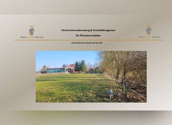 Paradiso equestre - romantico maneggio con maneggio coperto, 6 box e abitazione