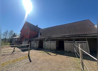 Paradiso equestre - romantico maneggio con maneggio coperto, 6 box e abitazione