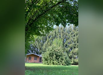 Paradiso equino e naturale autonomo (circa 2,3 ha) con acqua propria, produzione di energia fotovolt