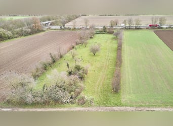 Pferdeimmobilie in Worms mit großem Mehrfamilienhaus und eigener Ovalbahn zu verkaufen!