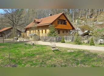 Privates Anwesen, ruhig im Grünen in Alleinlage gelegen, ideal für Pferde- und Naturfreunde