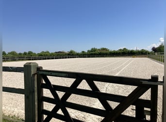 Proprietà equestre con abitazione