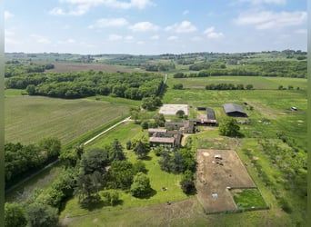 Proprietà equestre con molteplici possibilità