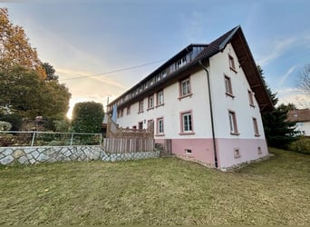 Proprietà equina ben curata - 5.000 mq, arena di sabbia e vista sulle Alpi | Vicino alla Svizzera | 