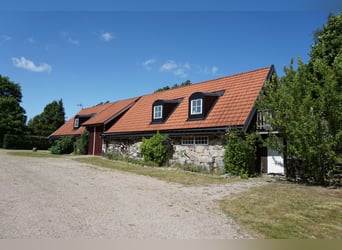 Proprietà unica nel Blekinge / Sudo Svezia