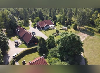 Proprietà unica nel Blekinge / Sudo Svezia