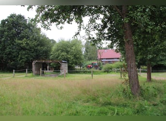 Ranch e centro ippico affermato – circa 8 ettari di terreno pianeggiante – versatile utilizzo