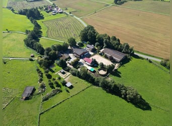 Ranch e centro ippico affermato – circa 8 ettari di terreno pianeggiante – versatile utilizzo