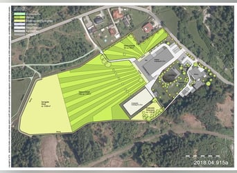 Rarità per gli amanti dei cavalli - proprietà da sogno in campagna