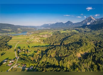 Rarità per gli amanti dei cavalli - proprietà da sogno in campagna