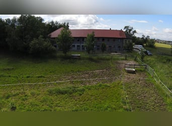 Rarität im OÖ Salzkammergut,  Nähe Gmunden, Österreich 