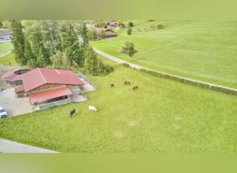 Reitanlage im Allgäu in malerischer Natur- Leben zwischen Bergen und Wäldern!