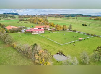 Reitanlage in Alleinlage im Main-Kinzig-Kreis zu verkaufen – mit großem Landhaus & Außenpool!