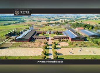 Reitanlage in Lonnig zu verkaufen – in Mitten des Sonderbaugebietes “Wohnen mit Pferden”