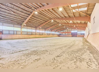 Reitanlage in Niedersachsen (Landkreis Uelzen) mit Wohn- und Gästehaus zu verkaufen!
